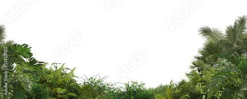 Wallpaper Mural Garden with flowers and shrubs on a white background Torontodigital.ca