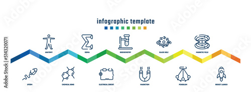 concept infographic design template. included anatomy, sperm, sigma, chemical bond, biochemistry, electrical circuit, black hole, magnetism, magnetic field, rocket launch icons.
