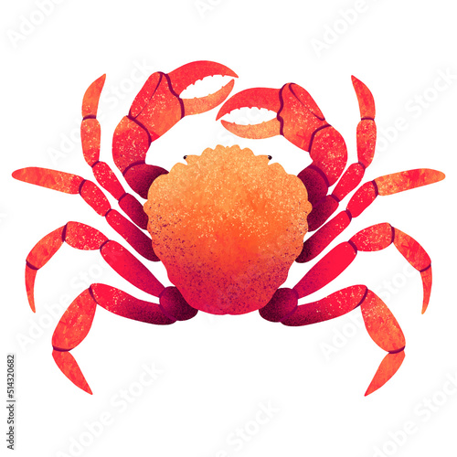 drawing digital crab live red design trends with gradients
