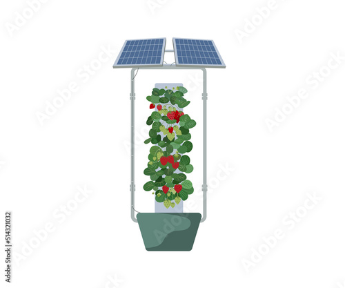 Soilless strawberry cultivation using solar energy to pump water is the innovation of the future. This saves farmers time as well. vector illustration.