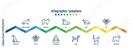 concept infographic design template. included bernese mountain, pointer dog, chow chow, sawfly, null, cat playhouse, collie, beagle, null, bichon frise icons.