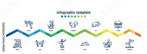 concept infographic design template. included fatigue, relics, bulrush, crab, chipmunk, hookah, rat, moss, wagon, direction icons.