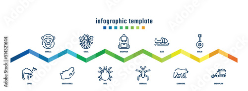 concept infographic design template. included gorilla, camel, coral, south africa, backpack, mite, sled, gerridae, banjo, snowplow icons.