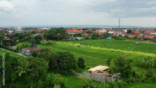 rice field terrace in canggu bali surrounded by local homes at sunset, aerial photo