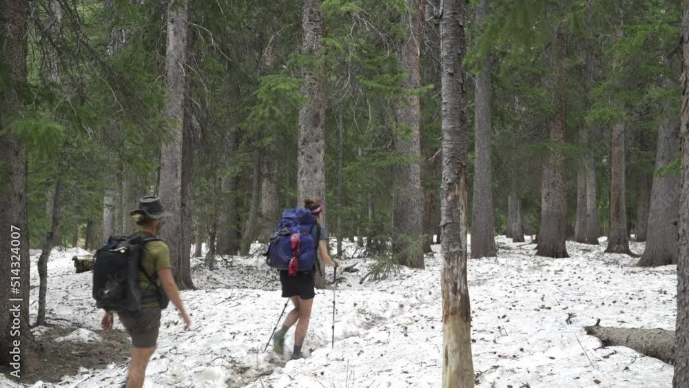 Couple hiking across snow in pine forest while backpacking Couple hiking across snow in pine forest while backpacking