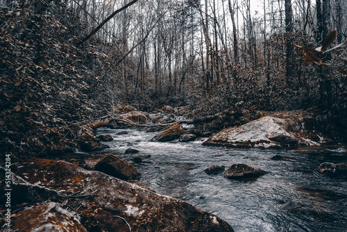 River in the Woods of Greenville, SC