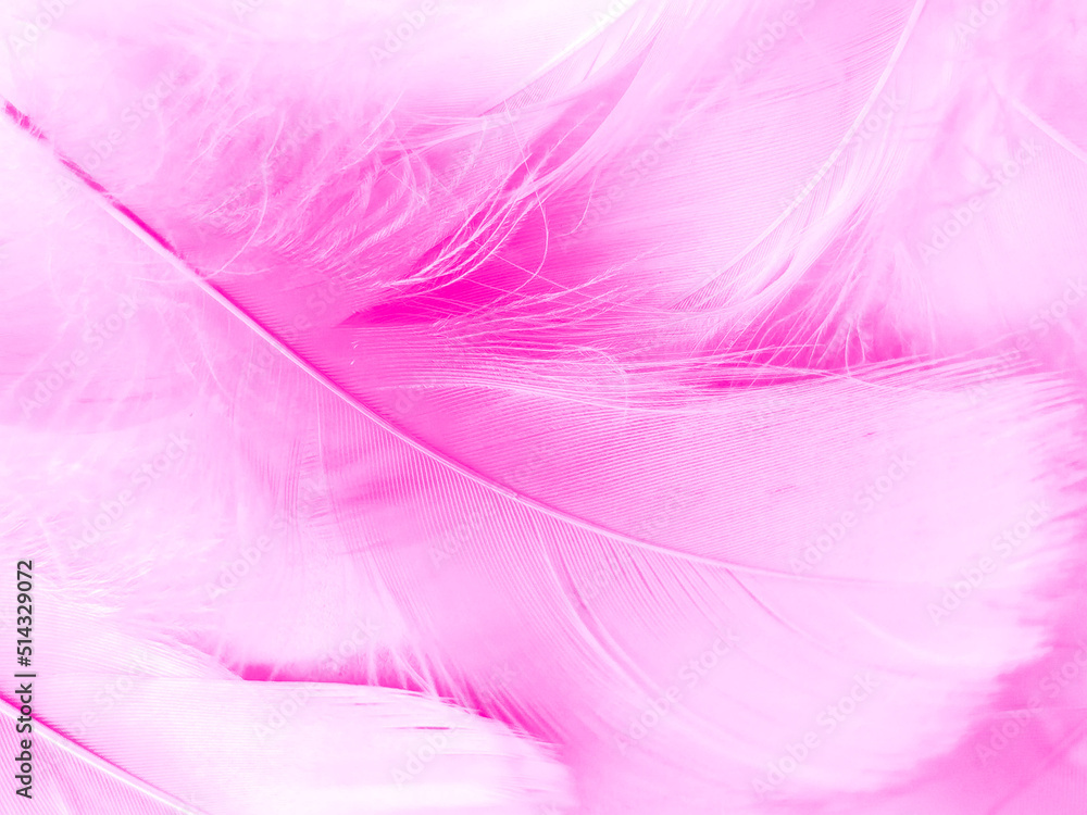 Obraz premium Beautiful abstract light pink feathers on white background, white feather frame on pink texture pattern, pink background, love theme wallpaper and valentines day, white gradient