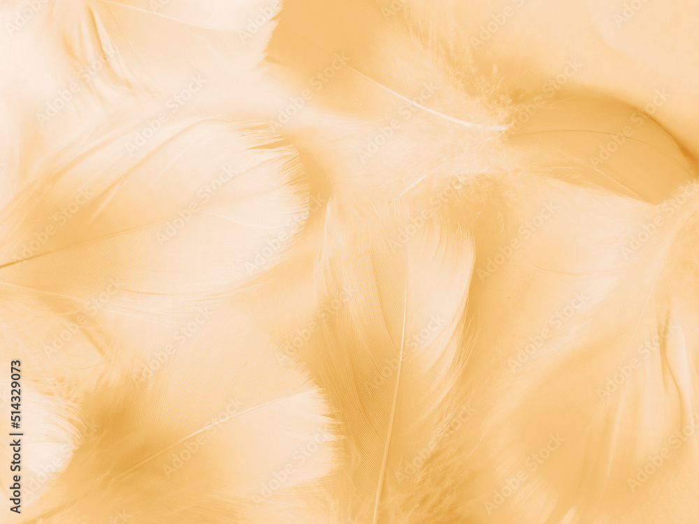  Beautiful abstract white and brown feathers on white background and soft yellow feather texture on white pattern and yellow background, feather background, gold feathers banners, brown texture
