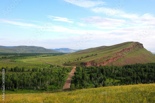 The field road crosses the birch forest and goes into the distance at the foot of a high gently sloping mountain.