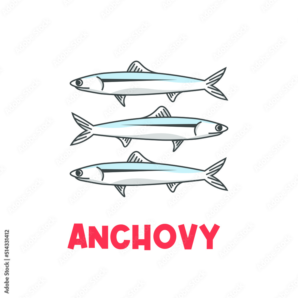 Simple anchovy vector illustration logo