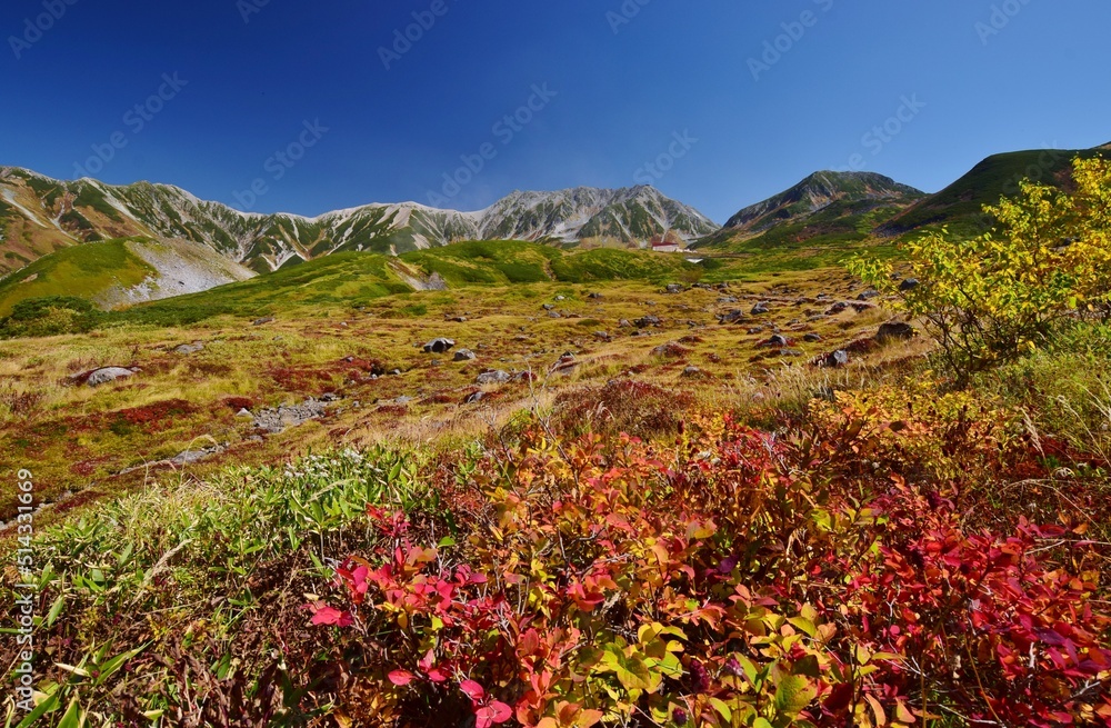 Fototapeta premium 秋・紅葉の立山連峰 