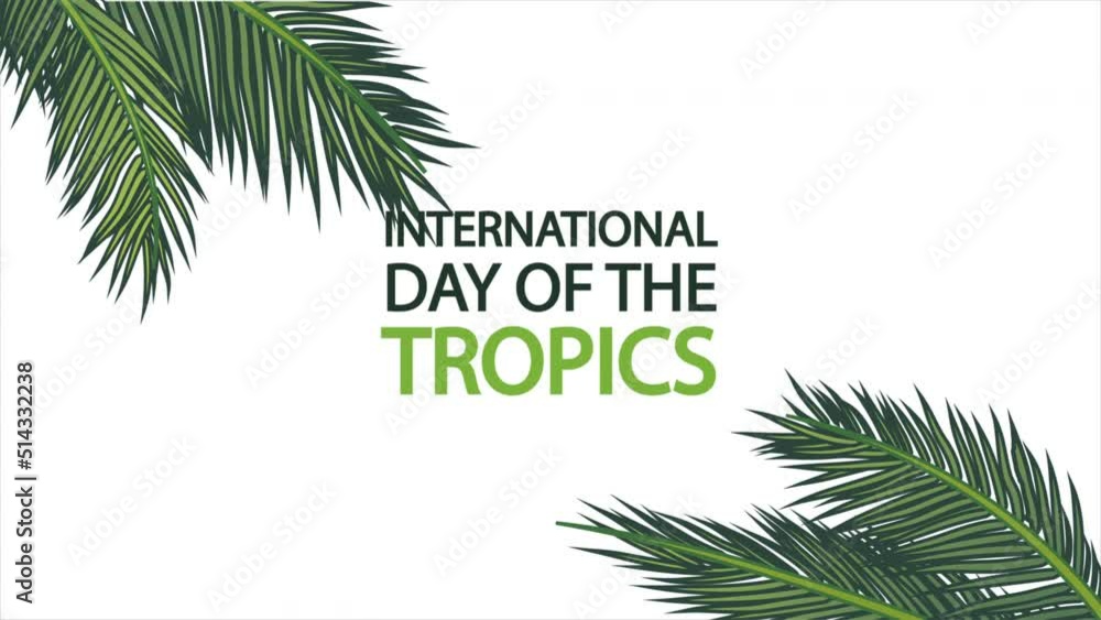 International day of the tropics palm tree branches banner, art video illustration. International day of the tropics palm tree branches banner, art video illustration.