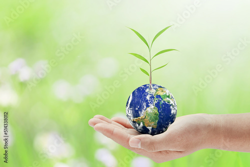Hand holding green plant growing on globe. environment Earth Day In the hands of trees growing seedlings. world image by NASA