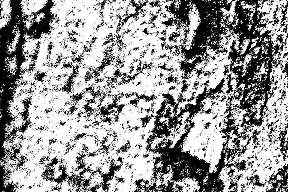 Black and white Cement wall texture. EPS 10. Black and white Cement wall texture. EPS 10.