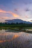 Photo of the sunrise in the mountains and rice fields in Indonesia