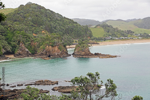 View at Sandy Bay - New Zealand