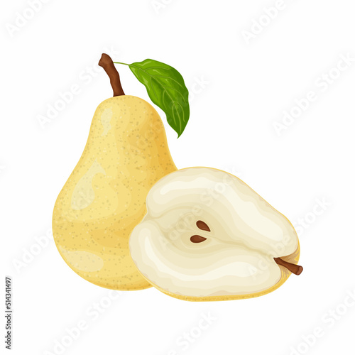 Pear. The image of a pear is yellow. Ripe sweet pear. Fresh garden fruit. Vitamin vegetarian product. Vector illustration isolated on a white background