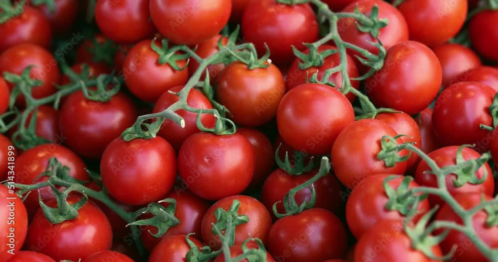 Lots of fresh tomatoes as closeup background Lots of fresh tomatoes as closeup background