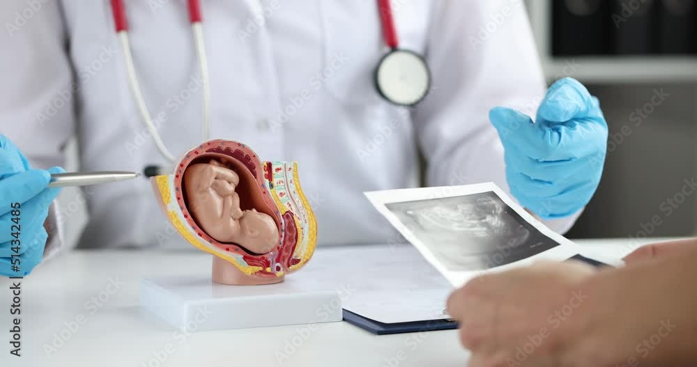 Doctor shows pregnant woman ultrasound scan and anatomy of baby fetus Doctor shows pregnant woman ultrasound scan and anatomy of baby fetus