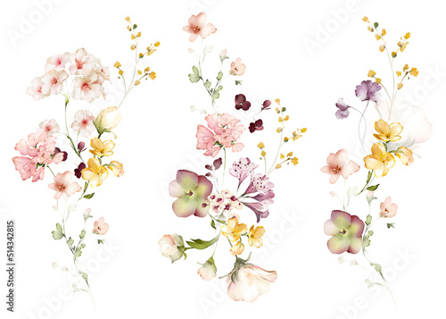 watercolor arrangements with garden flowers. bouquets with pink, yellow wildflowers, leaves, branches. Botanic illustration isolated on white background. photo