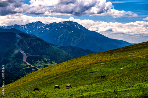 Mount Pietrosul Rodnei  the highest peak of Rodnei Mountains  Carpathians  Romania.