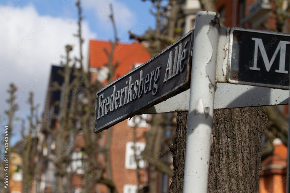 Fototapeta premium Frederiksberg Allee in Denmark