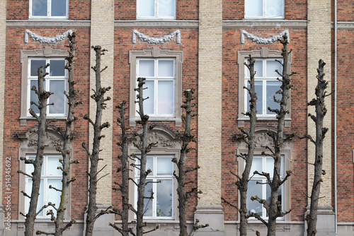 Wall Mural Frederiksberg Allee in Denmark