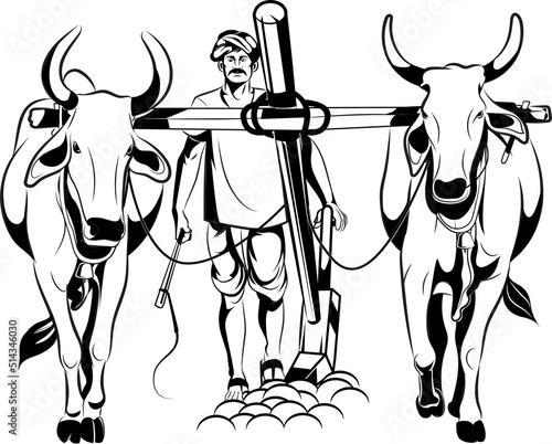 Indian farmer plowing fields with a pair of oxen using a traditional plow