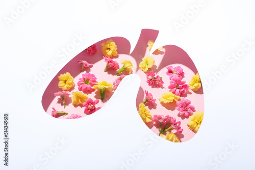 Concept of allergy, pink and yellow flowers and lungs