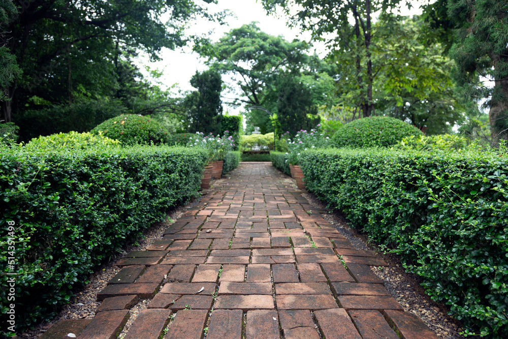 Garden walk way from brick with bush of tree for background Garden walk way from brick with bush of tree for background