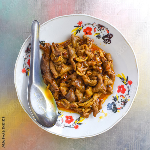 Myanmar chicken intestine curry. Homemade lunch. photo