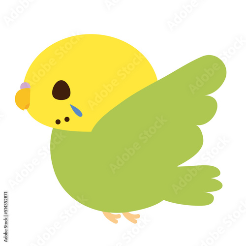 羽ばたくセキセイインコ