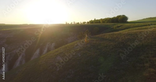 a beautiful girl is standing in a dress on a hill against the backdrop of sunset