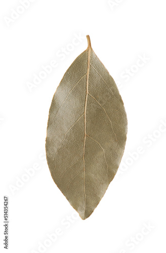 One aromatic bay leaf isolated on white