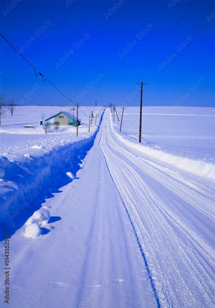 雪原と道