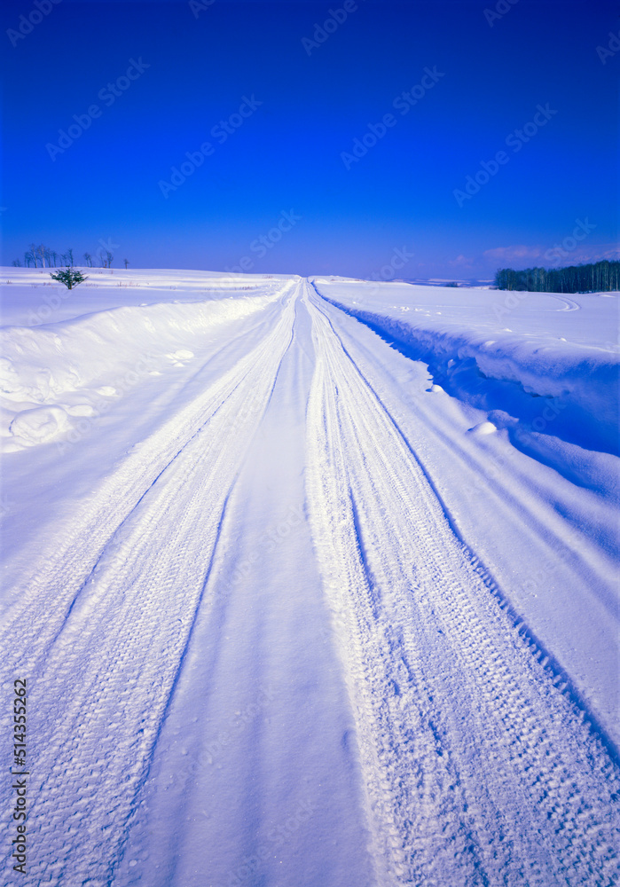 雪原と道 雪原と道