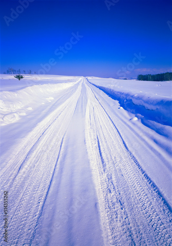 雪原と道