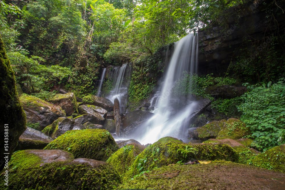 waterfall in the jungle waterfall in the jungle
