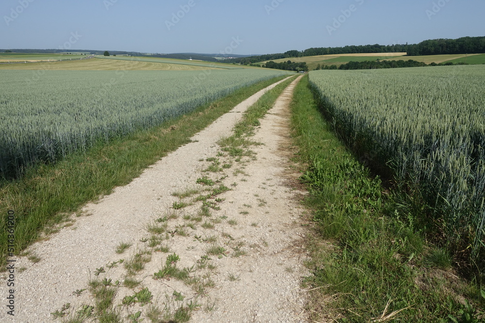 Schöne Landschaft in Bayern/Donau-Ries/Deutschland Schöne Landschaft in Bayern/Donau-Ries/Deutschland
