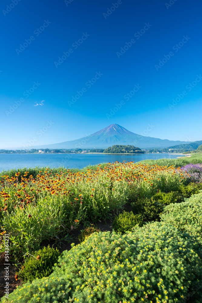 富士山　河口湖