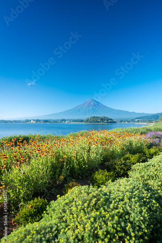 富士山　河口湖 © kiyo