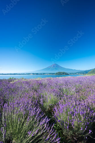 富士山 河口湖