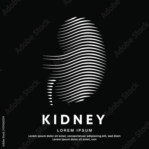 Human kidney medical structure. simple line art kidney logo design vector illustration on dark background. Urology logo vector template suitable for organization, company, or community. EPS 10
