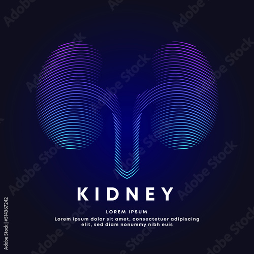 Human kidney medical structure. Vector logo kidney color silhouette on a dark background. Vector illustration - EPS 10
