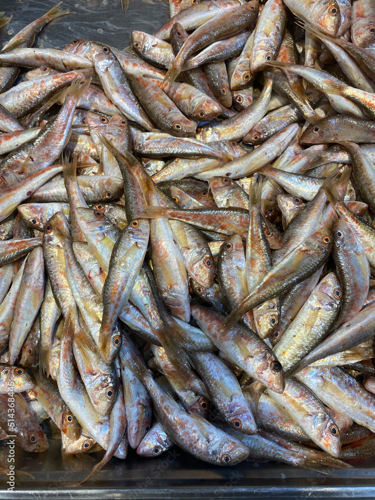Natural background of fresh lamb fish close-up Natural background of fresh lamb fish close-up