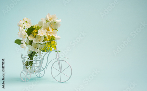 jasmine flowers on blue background top view. frame with jasmine flowers and space for text. delicate background with white jasmine flowers. white flowers flat lay.