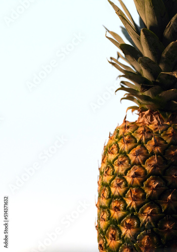 Closeup pineaple skin in a white background