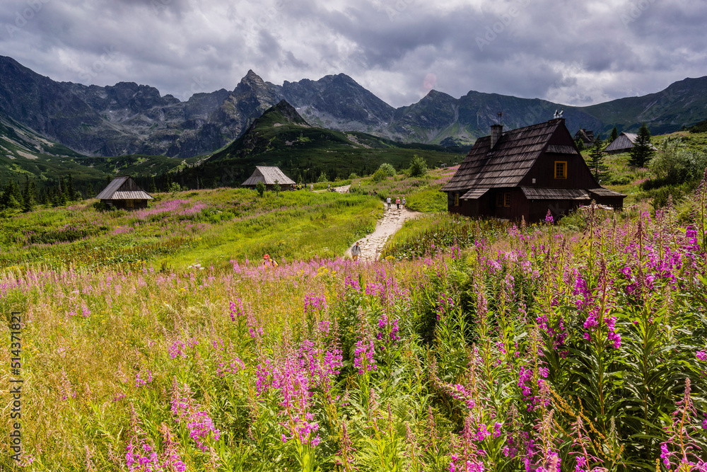 cabaña, Valle de gasienicowa , parque nacional Tatra, voivodato de la Pequeña Polonia, Cárpatos, Polonia, europe cabaña, Valle de gasienicowa , parque nacional Tatra, voivodato de la Pequeña Polonia, Cárpatos, Polonia, europe