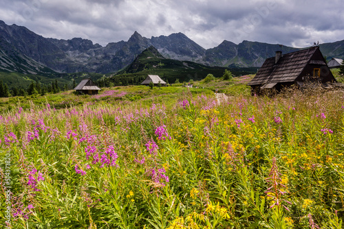 cabaña, Valle de gasienicowa , parque nacional Tatra, voivodato de la Pequeña Polonia, Cárpatos, Polonia, europe