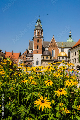 Catedral de Wawel, santuario nacional polaco, Cracovia,Polonia, eastern europe